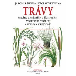 Trávy. traviny a trávníky v ilustracích - Jaromír Šikula, Václav Větvička