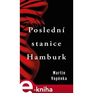Poslední stanice Hamburk - Martin Vopěnka e-kniha