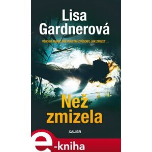 Než zmizela - Lisa Gardnerová e-kniha