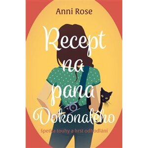 Recept na pana Dokonalého - Anni Rose