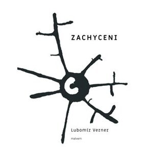 Zachyceni - Lubomír Verner