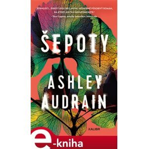 Šepoty - Ashley Audrain e-kniha