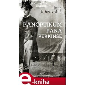 Panoptikum pana Perkinse - Ilona Dobrovolná e-kniha