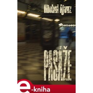 Pasáže - Michal Ajvaz e-kniha
