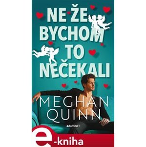 Ne že bychom to nečekali - Meghan Quinn e-kniha