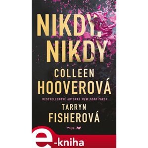 Nikdy, nikdy - Colleen Hooverová, Tarryn Fisher e-kniha