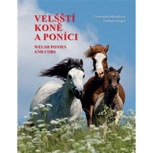 Velšští koně a poníci - Dalibor Gregor, Dominika Marečková