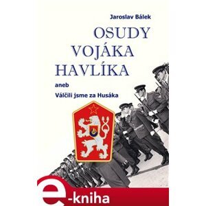 Osudy vojáka Havlíka. aneb Válčili jsme za Husáka - Jaroslav Bálek e-kniha
