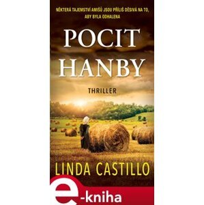 Pocit hanby - Linda Castillo e-kniha