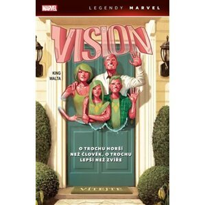 Vision - Tom King