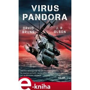 Virus Pandora - J. R. Olson, David Bruns e-kniha