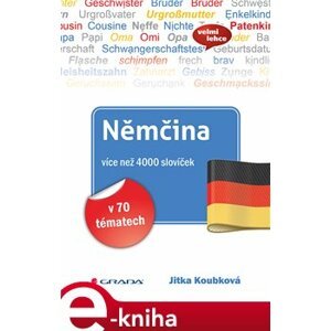 Němčina více než 4000 slovíček. v 70 tématech - Jitka Koubková e-kniha