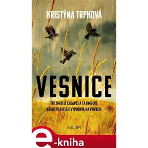 Vesnice - Kristýna Trpková e-kniha