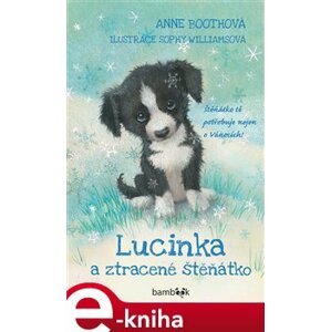 Lucinka a ztracené štěňátko - Anne Bootheová e-kniha