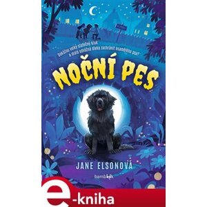 Noční pes - Jane Elsonová e-kniha