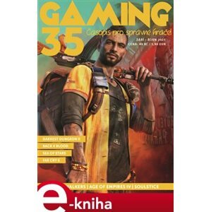 Gaming 35 e-kniha