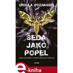 Šedá jako popel - Ursula Poznanski e-kniha