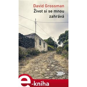 Život si se mnou zahrává - David Grossman e-kniha