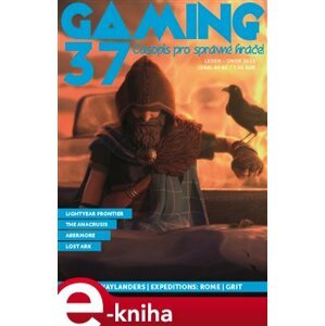 Gaming 37 e-kniha