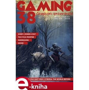 Gaming 38 e-kniha