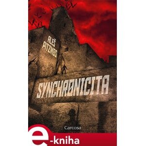 Synchronicita - Aleš Pitzmos e-kniha