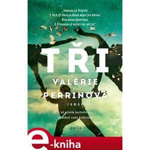 Tři - Valérie Perrinová e-kniha