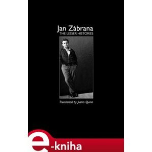The Lesser Histories - Jan Zábrana e-kniha