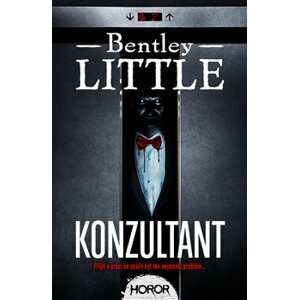 Konzultant - Bentley Little