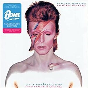 Kalendář David Bowie 2023 - sběratelská edice