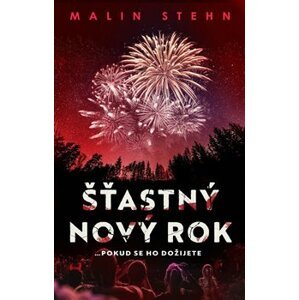 Šťastný nový rok - Malin Stehn