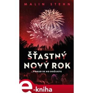 Šťastný nový rok - Malin Stehn e-kniha