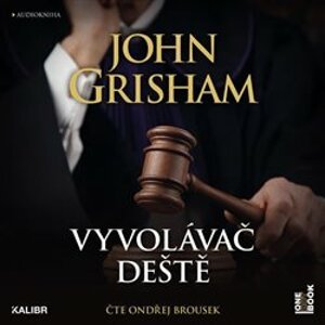 Vyvolávač deště, CD - John Grisham