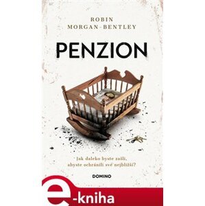 Penzion - Robin Morgan-Bentley e-kniha