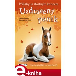 Příběhy se šťastným koncem – Uzdravený poník - Sarah Hawkins e-kniha