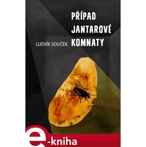 Případ Jantarové komnaty - Ludvík Souček e-kniha