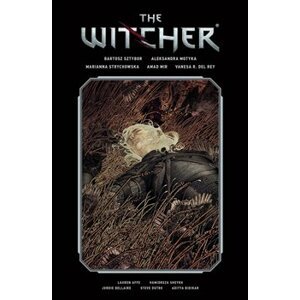 The Witcher 2. Library Edition Volume 2 - kolektiv autorů