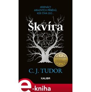 Škvíra - C. J. Tudor e-kniha