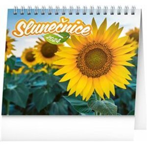 Stolní kalendář Slunečnice, s citáty 2024