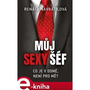 Můj sexy šéf - Renáta Navrátilová e-kniha