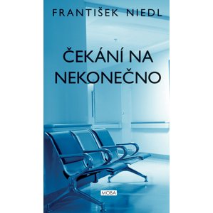 Čekání na nekonečno -  František Niedl