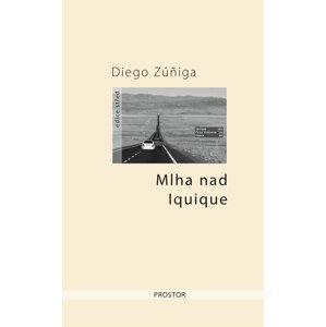 Mlha nad Iquique -  Diego Zúñiga