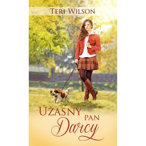 Úžasný pan Darcy -  Teri Wilson