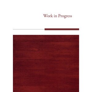 Work in Progress -  Tomáš Valeš