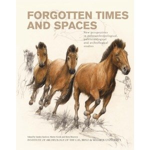 Forgotten Times and Spaces -  Martin Novák