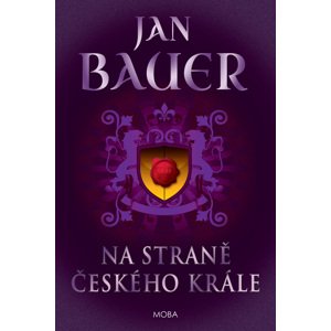 Na straně českého krále -  Jan Bauer