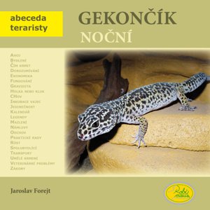 Gekončík noční -  Jaroslav Forejt