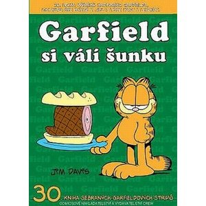 Garfield si válí šunku -  Jim Davis