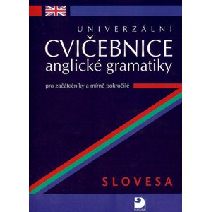 Univerzální cvičebnice anglické gramatiky -  Petr Kácha