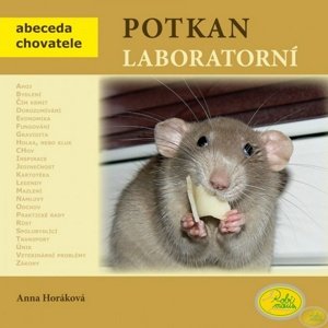 Potkan laboratorní -  Anna Horáková