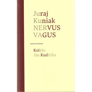 Nervus vagus -  Ján Kudlička